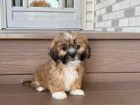 processed/d1a181ef-18c0-4932-8e08-0c0391f04f89/listing/bfa64774-8593-4ca8-841b-70b8364c32b7/ecf181ad-d848-4bb6-ab25-40680f237e74