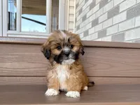 processed/d1a181ef-18c0-4932-8e08-0c0391f04f89/listing/bfa64774-8593-4ca8-841b-70b8364c32b7/f5dff151-eb61-401b-9431-c61063bffe0f