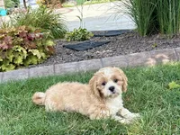 processed/d1a181ef-18c0-4932-8e08-0c0391f04f89/listing/c28be226-8c79-4797-8047-4ab6827921ec/5d498169-0953-42d4-9ade-3384dbf30a6f