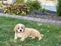 processed/d1a181ef-18c0-4932-8e08-0c0391f04f89/listing/c28be226-8c79-4797-8047-4ab6827921ec/7da9b2ac-c317-4c5f-8c25-08e7dded3b1d