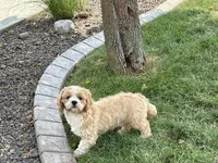 processed/d1a181ef-18c0-4932-8e08-0c0391f04f89/listing/c28be226-8c79-4797-8047-4ab6827921ec/e5f42433-2c43-47da-8c7e-24696fa2a432