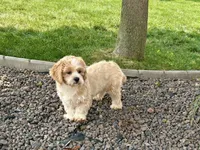 processed/d1a181ef-18c0-4932-8e08-0c0391f04f89/listing/c28be226-8c79-4797-8047-4ab6827921ec/f535ee31-00ef-4b90-95e2-e6c2354f54af