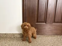 processed/d1a181ef-18c0-4932-8e08-0c0391f04f89/listing/c39d5303-155a-428e-a552-312fd863022f/0df3b61b-3378-4a06-b332-6a2e7ebf3ab6