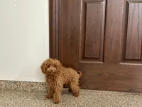 processed/d1a181ef-18c0-4932-8e08-0c0391f04f89/listing/c39d5303-155a-428e-a552-312fd863022f/36033cc5-f645-4517-b247-086717feca9e