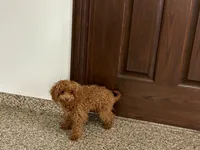 processed/d1a181ef-18c0-4932-8e08-0c0391f04f89/listing/c39d5303-155a-428e-a552-312fd863022f/885815ce-4843-43a1-b0aa-ebeb77a269a3