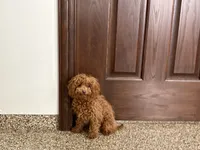 processed/d1a181ef-18c0-4932-8e08-0c0391f04f89/listing/c39d5303-155a-428e-a552-312fd863022f/d4332387-4395-45f3-a9a8-8d6f06af791a