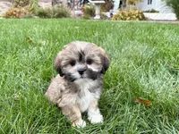 processed/d1a181ef-18c0-4932-8e08-0c0391f04f89/listing/d1083d35-0707-44f9-a956-2da393f73478/08654a16-7133-4529-8d4d-8f79636e4ea0