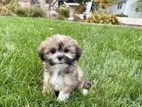 processed/d1a181ef-18c0-4932-8e08-0c0391f04f89/listing/d1083d35-0707-44f9-a956-2da393f73478/09595e47-bab4-4dc3-9121-686884e97f30