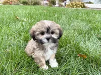 processed/d1a181ef-18c0-4932-8e08-0c0391f04f89/listing/d1083d35-0707-44f9-a956-2da393f73478/12eea58b-544b-453c-816f-e0362834e026