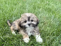 processed/d1a181ef-18c0-4932-8e08-0c0391f04f89/listing/d1083d35-0707-44f9-a956-2da393f73478/2ab81f99-006e-4aa3-9385-9ae3d6faba33