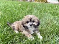 processed/d1a181ef-18c0-4932-8e08-0c0391f04f89/listing/d1083d35-0707-44f9-a956-2da393f73478/96e78163-945a-403b-9c3c-574ad4061060