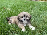 processed/d1a181ef-18c0-4932-8e08-0c0391f04f89/listing/d1083d35-0707-44f9-a956-2da393f73478/b6d98d09-a4eb-4a99-90db-445a031190b0