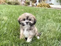 processed/d1a181ef-18c0-4932-8e08-0c0391f04f89/listing/d1083d35-0707-44f9-a956-2da393f73478/c13b4e35-49ec-468d-96a9-1df9732518de