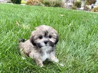 processed/d1a181ef-18c0-4932-8e08-0c0391f04f89/listing/d1083d35-0707-44f9-a956-2da393f73478/eb1deebb-172d-48f7-9d13-eae7e2823599