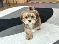 processed/d1a181ef-18c0-4932-8e08-0c0391f04f89/listing/d9eff0e1-50e2-4ea0-b787-9ae11b0722f4/3c776304-c1f4-4e1d-b636-d207c797e23c