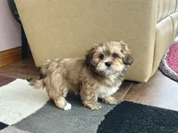 processed/d1a181ef-18c0-4932-8e08-0c0391f04f89/listing/d9eff0e1-50e2-4ea0-b787-9ae11b0722f4/ad127f13-cc67-47fd-b653-007f68d8ba65