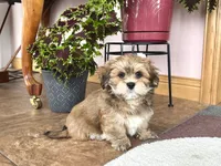 processed/d1a181ef-18c0-4932-8e08-0c0391f04f89/listing/d9eff0e1-50e2-4ea0-b787-9ae11b0722f4/bd5295da-c8fd-46f2-a67b-1a996f921711