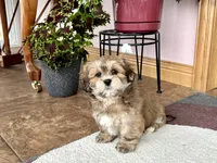 processed/d1a181ef-18c0-4932-8e08-0c0391f04f89/listing/d9eff0e1-50e2-4ea0-b787-9ae11b0722f4/f4b5aaf1-c844-4141-9577-8cd172df5116