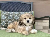 processed/d1a181ef-18c0-4932-8e08-0c0391f04f89/listing/e32b510f-53d9-42dd-9c71-738435bb5796/7afb099e-eeba-46ed-9411-5cd54b7d9656