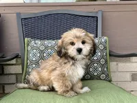 processed/d1a181ef-18c0-4932-8e08-0c0391f04f89/listing/e32b510f-53d9-42dd-9c71-738435bb5796/8e543e91-90a4-407d-be26-0b9b3216b90b