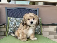 processed/d1a181ef-18c0-4932-8e08-0c0391f04f89/listing/e32b510f-53d9-42dd-9c71-738435bb5796/9e96259a-4ced-4348-a7cb-4c2bd0ac4817