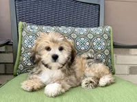 processed/d1a181ef-18c0-4932-8e08-0c0391f04f89/listing/e32b510f-53d9-42dd-9c71-738435bb5796/ae75b510-19c5-4652-a789-c57e1aba1722