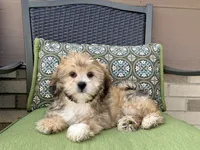 processed/d1a181ef-18c0-4932-8e08-0c0391f04f89/listing/e32b510f-53d9-42dd-9c71-738435bb5796/e419cd82-aa09-4cbe-873d-7651582f2d38