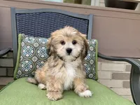 processed/d1a181ef-18c0-4932-8e08-0c0391f04f89/listing/e32b510f-53d9-42dd-9c71-738435bb5796/ea3cc7ca-7687-4a6b-955a-4a99906ba919