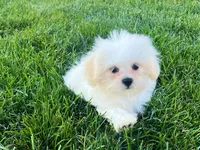 processed/d1a181ef-18c0-4932-8e08-0c0391f04f89/listing/eebd7cba-2c2e-4c3f-b3fb-531e506adb1c/1ef9271d-032e-4b07-806d-66403b1f12a2