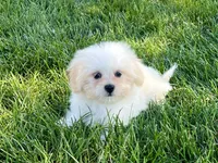 processed/d1a181ef-18c0-4932-8e08-0c0391f04f89/listing/eebd7cba-2c2e-4c3f-b3fb-531e506adb1c/6438be4e-9433-4e66-bc87-feb476bfbc10