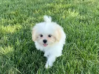 processed/d1a181ef-18c0-4932-8e08-0c0391f04f89/listing/eebd7cba-2c2e-4c3f-b3fb-531e506adb1c/6e77bf92-5123-413b-9b22-f4cdbbe1d680