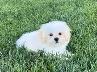 processed/d1a181ef-18c0-4932-8e08-0c0391f04f89/listing/eebd7cba-2c2e-4c3f-b3fb-531e506adb1c/f32e59d9-5304-4ee3-a62f-5d15e7358e8a