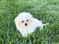 processed/d1a181ef-18c0-4932-8e08-0c0391f04f89/listing/eebd7cba-2c2e-4c3f-b3fb-531e506adb1c/f574e1cf-1608-4776-97a5-0ca489aea71b