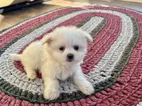 processed/d1a181ef-18c0-4932-8e08-0c0391f04f89/listing/f6792f41-f80d-4d08-8294-531e14eef40c/4ff4b291-6e2f-4694-a48c-95599d0ccbef