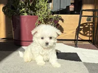 processed/d1a181ef-18c0-4932-8e08-0c0391f04f89/listing/f6792f41-f80d-4d08-8294-531e14eef40c/78c8834a-411c-42af-a719-0157c894e973