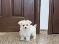 processed/d1a181ef-18c0-4932-8e08-0c0391f04f89/listing/f6792f41-f80d-4d08-8294-531e14eef40c/c955d5a4-c8e9-40b1-83ae-615cef38b452