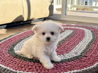 processed/d1a181ef-18c0-4932-8e08-0c0391f04f89/listing/f6792f41-f80d-4d08-8294-531e14eef40c/f6bd2b15-3857-47b4-8097-0068a4f0d663