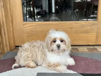 processed/d1a181ef-18c0-4932-8e08-0c0391f04f89/listing/fd28c5b9-1054-4b18-ac2c-f894d5f7cd92/03112579-4dfd-4ec1-b15f-b68d8a919f44