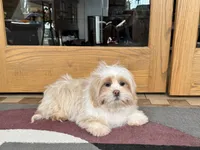 processed/d1a181ef-18c0-4932-8e08-0c0391f04f89/listing/fd28c5b9-1054-4b18-ac2c-f894d5f7cd92/17b70b0f-f8c2-4c94-8c91-15eaad22fccc