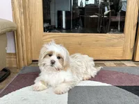 processed/d1a181ef-18c0-4932-8e08-0c0391f04f89/listing/fd28c5b9-1054-4b18-ac2c-f894d5f7cd92/3dd43965-c93d-4e5a-b391-2a1ba8cbc97c