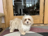 processed/d1a181ef-18c0-4932-8e08-0c0391f04f89/listing/fd28c5b9-1054-4b18-ac2c-f894d5f7cd92/7ed98d17-2185-4e8e-9ddc-deaa243cdfb9