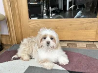 processed/d1a181ef-18c0-4932-8e08-0c0391f04f89/listing/fd28c5b9-1054-4b18-ac2c-f894d5f7cd92/b49291bb-9114-4c6f-a164-9e194f836a23