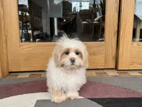 processed/d1a181ef-18c0-4932-8e08-0c0391f04f89/listing/fd28c5b9-1054-4b18-ac2c-f894d5f7cd92/db7ac7cc-ab46-4b30-ac8a-62a1e959b461