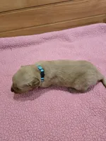 processed/d1b0405f-f760-46bd-8e46-88fec02a2935/listing/43ad1c4b-27a3-4396-822b-637345609a18/2da02744-4e82-4268-b3ec-99989f74a38f