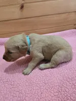 processed/d1b0405f-f760-46bd-8e46-88fec02a2935/listing/43ad1c4b-27a3-4396-822b-637345609a18/64417bbf-6857-43f7-b968-d4fdd5ee3810