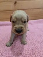 processed/d1b0405f-f760-46bd-8e46-88fec02a2935/listing/43ad1c4b-27a3-4396-822b-637345609a18/6476c459-270e-42bf-8631-54dea6291e96