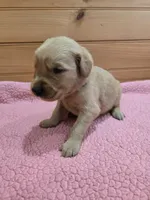 processed/d1b0405f-f760-46bd-8e46-88fec02a2935/listing/43ad1c4b-27a3-4396-822b-637345609a18/96b98e7e-39b7-45f9-9785-985856d93c04