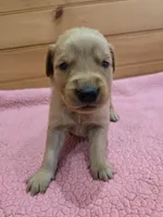 processed/d1b0405f-f760-46bd-8e46-88fec02a2935/listing/43ad1c4b-27a3-4396-822b-637345609a18/cb1be6b5-1465-4cc3-ad49-4a48e4963101