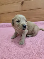 processed/d1b0405f-f760-46bd-8e46-88fec02a2935/listing/476581d9-e065-49e9-bdbf-1612631f0f27/476163b4-9d13-4080-97df-975717670a0d