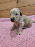 processed/d1b0405f-f760-46bd-8e46-88fec02a2935/listing/476581d9-e065-49e9-bdbf-1612631f0f27/8d6623c0-df64-4159-99fc-0161de845533